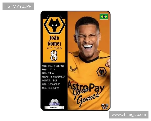 英超狼队目前最大牌球员档案及全赛季表现回顾 英超狼队目前最大牌球员档案及全赛季表现回顾