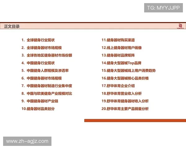 河北健身器材厂家推荐及市场现状分析