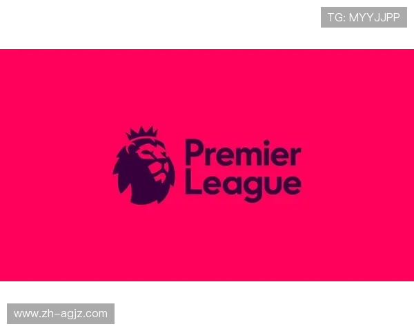 英超球员纳税情况及由俱乐部承担的税务比例分析