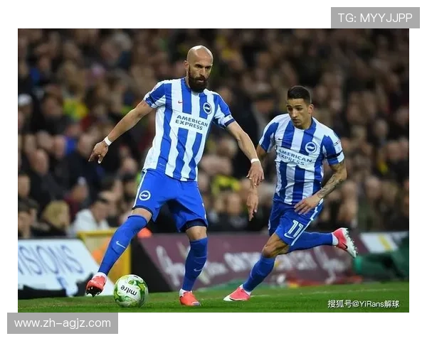 布莱顿球队最新现状及赛季表现详解